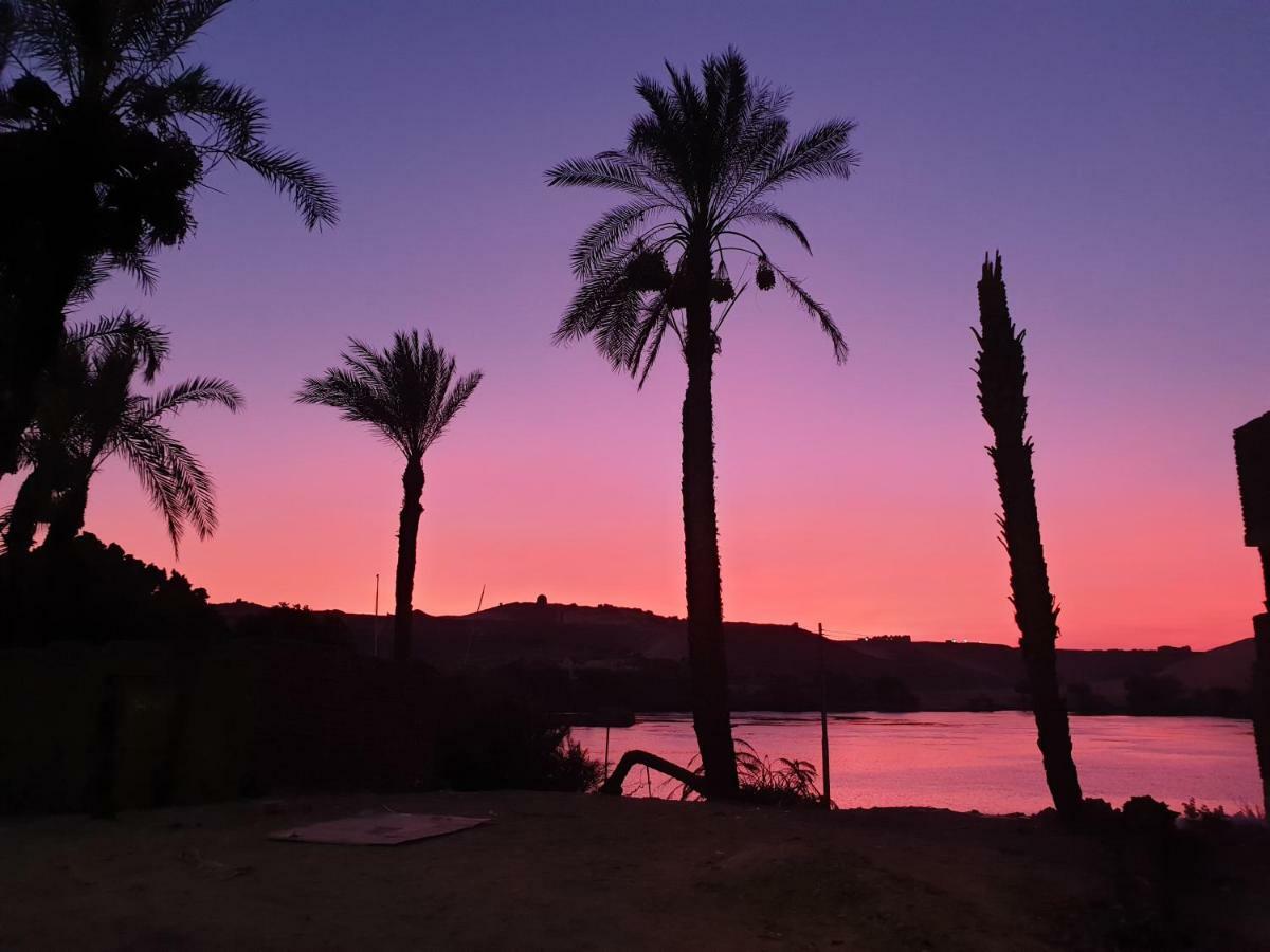 Basmatic Nubian Guest House Aswan Ngoại thất bức ảnh